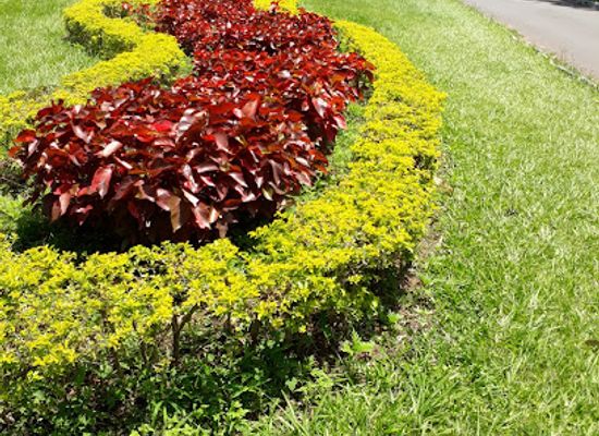 paraguay/asuncion/carmelitas/landmark/jardin-de-la-senora-asuncion