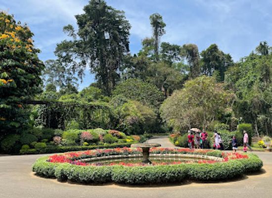 sri-lanka/kandy/landmark/royal-botanic-gardens-peradeniya