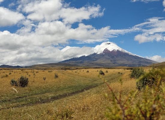 ecuador/central-sierra/landmark/la-mariscal-artisan-market