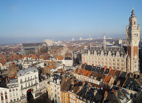 france/lille/vieux-lille/landmark/notre-dame-de-la-treille-cathedral