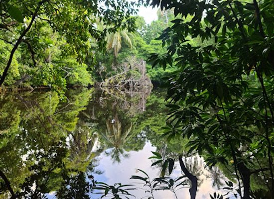 maldives/hithadhoo-island/landmark/boda-fenganda-paree-fenganda