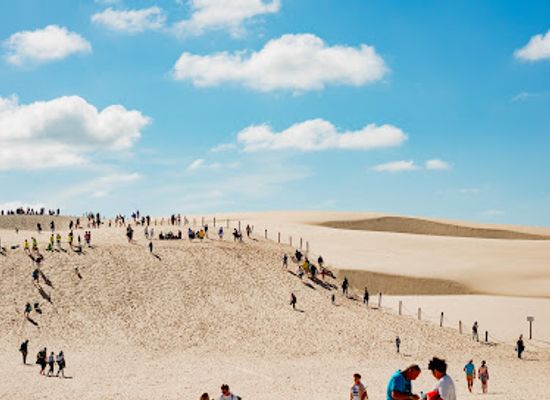 poland/słowiński-national-park/landmark/wydmy-przy-plazy-w-slowinskim-parku-narodowym