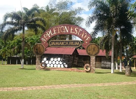 jamaica/treasure-beach-area/landmark/appleton-estate-rum-tour