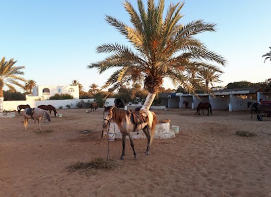 tunisia/djerba/landmark/ranch-yassmina-djerba-la-douce