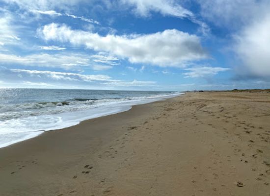 delaware/fenwick-island-state-park/landmark/wwii-observation-tower-1-rehoboth-beach