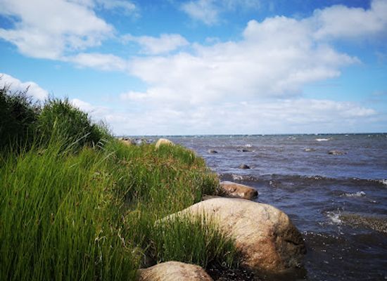 denmark/laso/attraction/horneks-odde