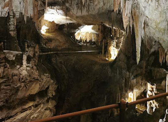 slovenia/postojna/landmark/hohlen-von-postojna