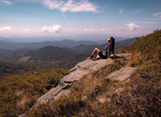 tennessee/appalachian-mountains/landmark/roan-mountain