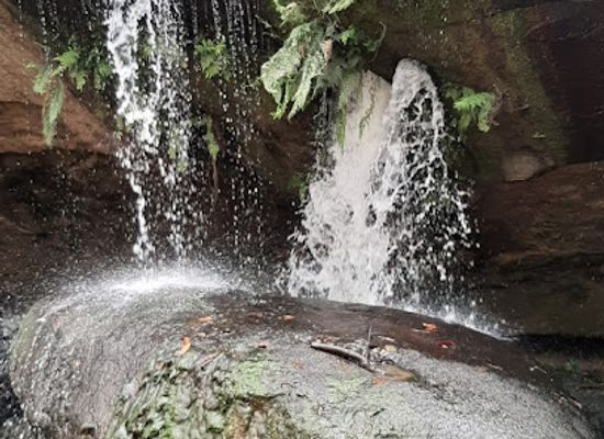 uganda/kampala/bugolobi/landmark/grc-gardens