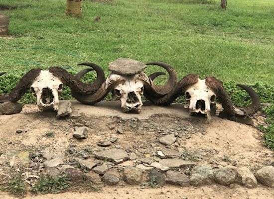 kenya/lake-nakuru-national-park/landmark/nderit-gate-lake-nakuru-national-park