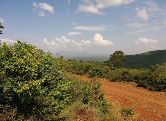 kenya/coastal-region/landmark/ruma-national-park