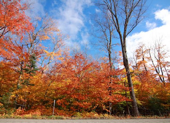 michigan/tahquamenon-falls-state-park/landmark/curley-lewis-memorial-highway