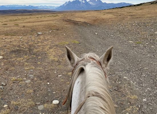 chile/magallanes-and-chilean-antarctica-region/landmark/cerro-guido