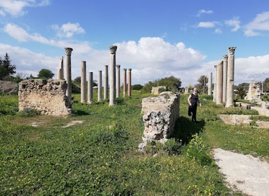 tunisia/tunis/carthage/landmark/baths-of-gargilius