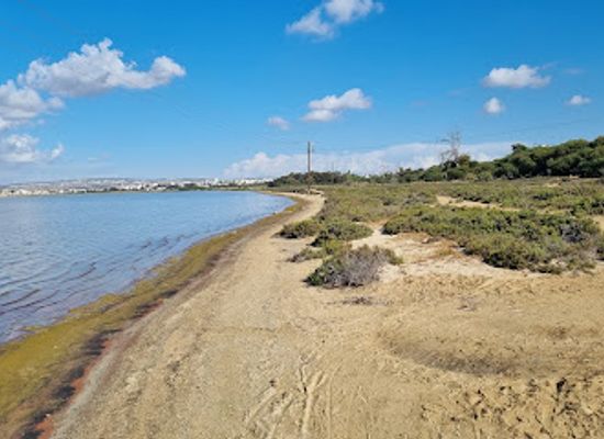 cyprus/larnaca-district/landmark/salt-lake