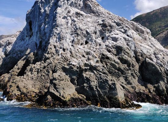 new-zealand/kaikoura/landmark/whale-watch-kaikoura