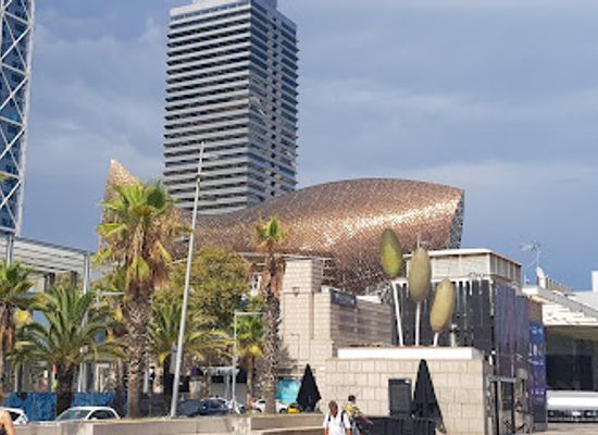 spain/barcelona/barceloneta/landmark/escultura-al-moll-de-la-fusta