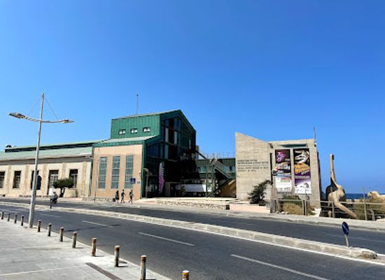 greece/heraklion/historical-museum-of-crete/landmark/natural-history-museum-of-crete