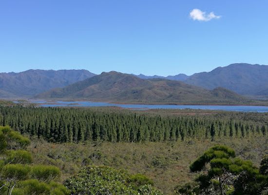 new-caledonia/tiga/landmark/blue-river-provincial-park