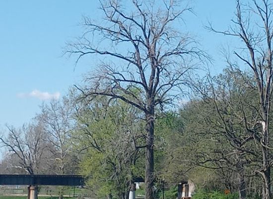 indiana/muncie/landmark/craddock-wetlands