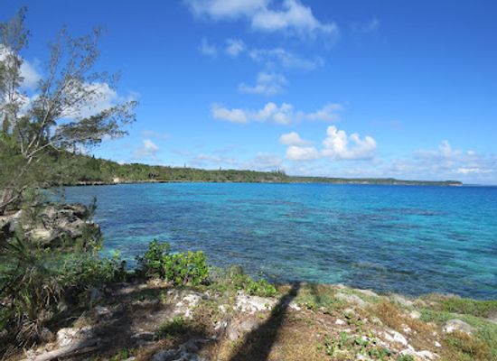 new-caledonia/lifou-island/landmark/lifou-nature