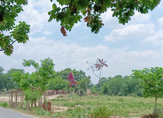nepal/terai/landmark/chitwan-national-park