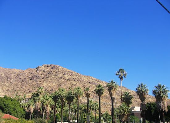 california/palm-springs/vista-las-palmas/landmark/walk-of-the-stars-palm-springs