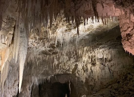 new-zealand/waitomo-caves/landmark/ruakuri-cave-tours