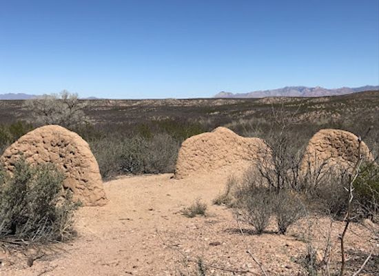 arizona/san-rafael-valley/landmark/battle-of-the-bulls