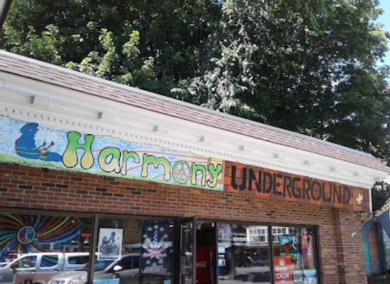 vermont/brattleboro/landmark/harmony-underground
