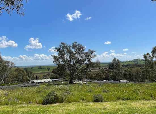 australia/barossa-valley/landmark/lyndoch-lavender-farm-cafe