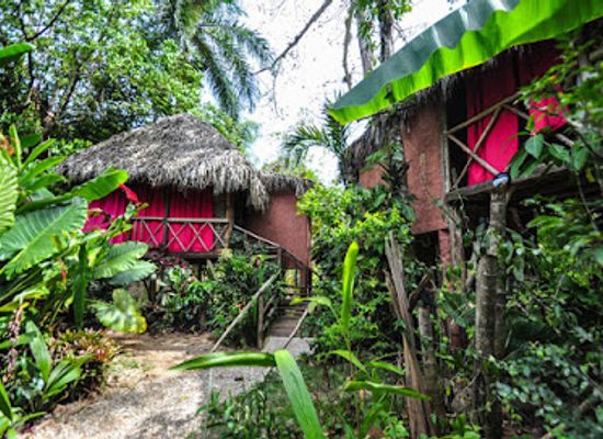 dominican-republic/samana-peninsula/landmark/samana-tropical-jungle-village-tree-house-hotel