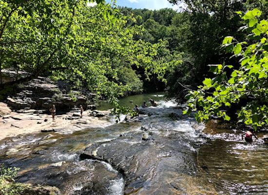 alabama/appalachian-mountains/landmark/turkey-creek-nature-preserve