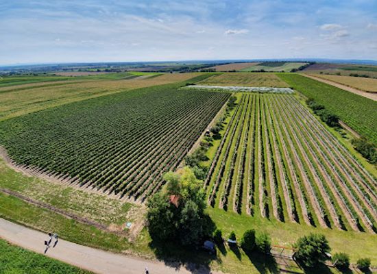 czechia/south-moravia/landmark/lookout-na-podluzi-u-noveho-poddvorova