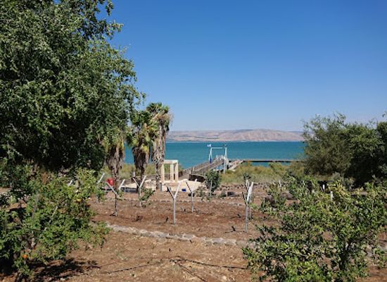 israel/galilee-region/landmark/kfar-nahum-national-park