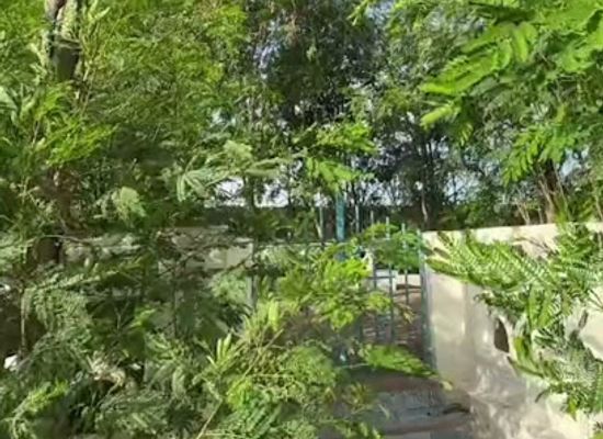 somalia/banaadir/landmark/mogadishu-tourism-village