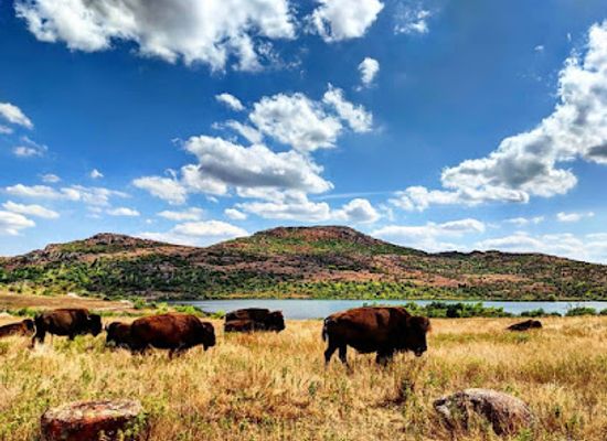 oklahoma/prairie-plains/landmark/wichita-mountains