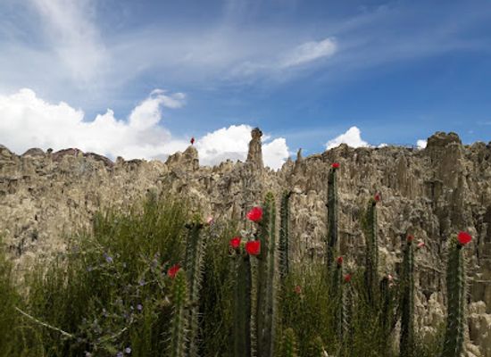 bolivia/andean-valleys/landmark/mirador-killi-killi