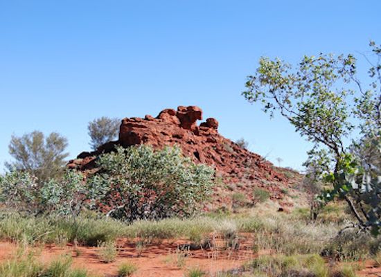australia/red-centre/landmark/napwerte-ewaninga-rock-carvings-conservation-reserve