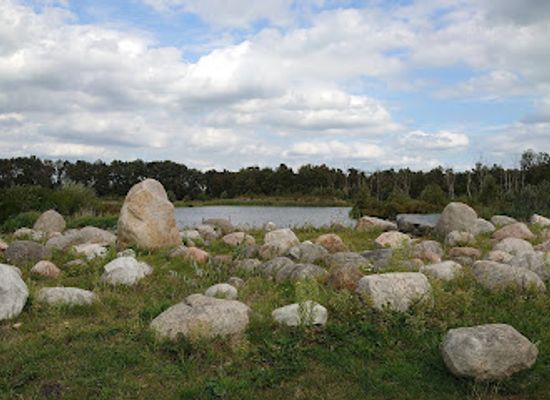 netherlands/drenthe-province/landmark/oosterbos