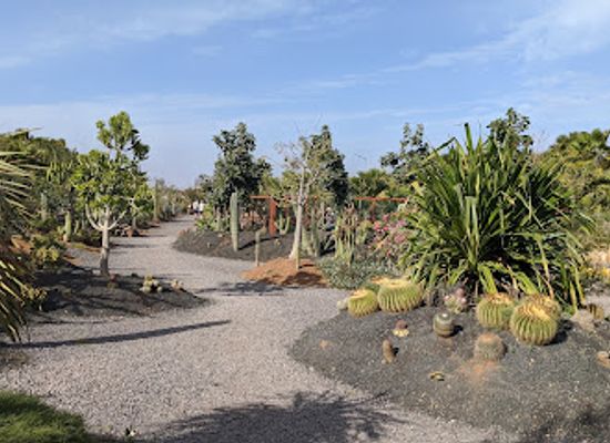 cabo-verde/espargos/landmark/pachamama-eco-park-viveiro-botanical-garden