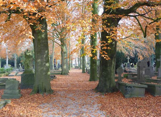 netherlands/nijmegen/landmark/begraafplaats-daalseweg
