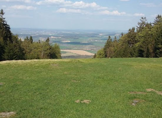 germany/upper-palatinate/landmark/upper-palatine-forest