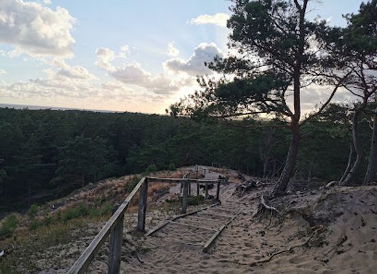 sweden/halland/attraction/lynga-sanddyn