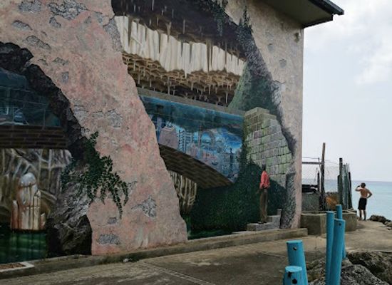 barbados/west-coast/landmark/gallery-of-caribbean-art