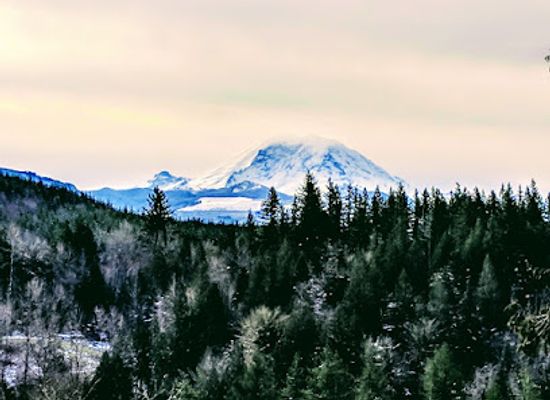 washington/eastern-washington/landmark/franklin-ghost-town