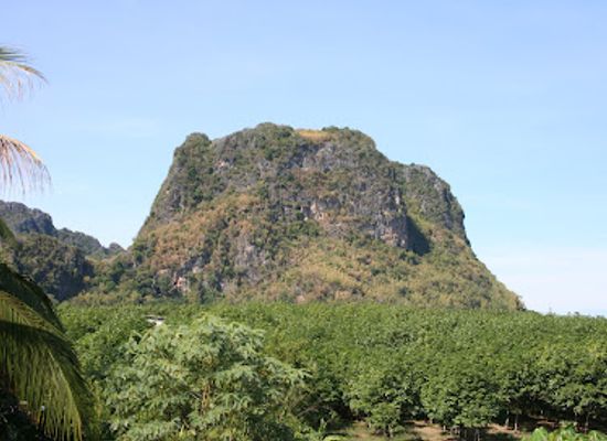 thailand/loei/landmark/wat-tham-pha-ya