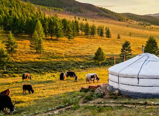 mongolia/mongolian-manchurian-grassland/landmark/horse-trails-mongolia