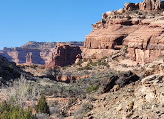 utah/canyonlands/landmark/mill-canyon-dinosaur-bone-trail