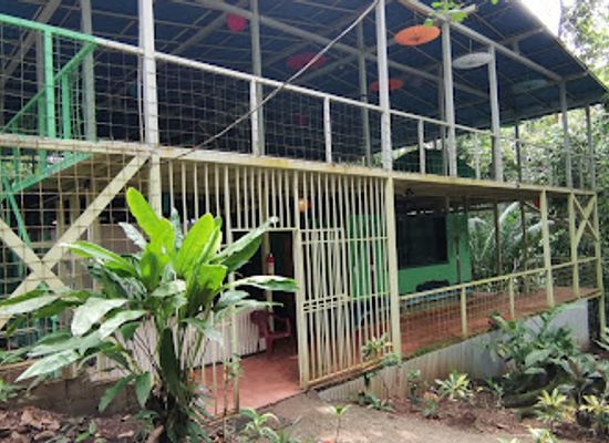 costa-rica/osa-peninsula/landmark/corcovado-adventures